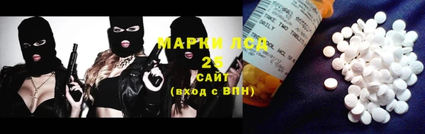 крисы Алзамай