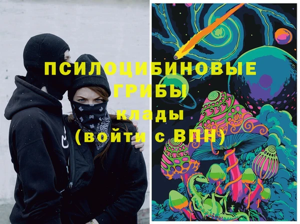 крисы Алзамай